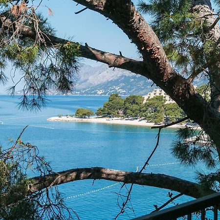 Apartments by the sea Brela, Makarska - 16950 Exteriör bild