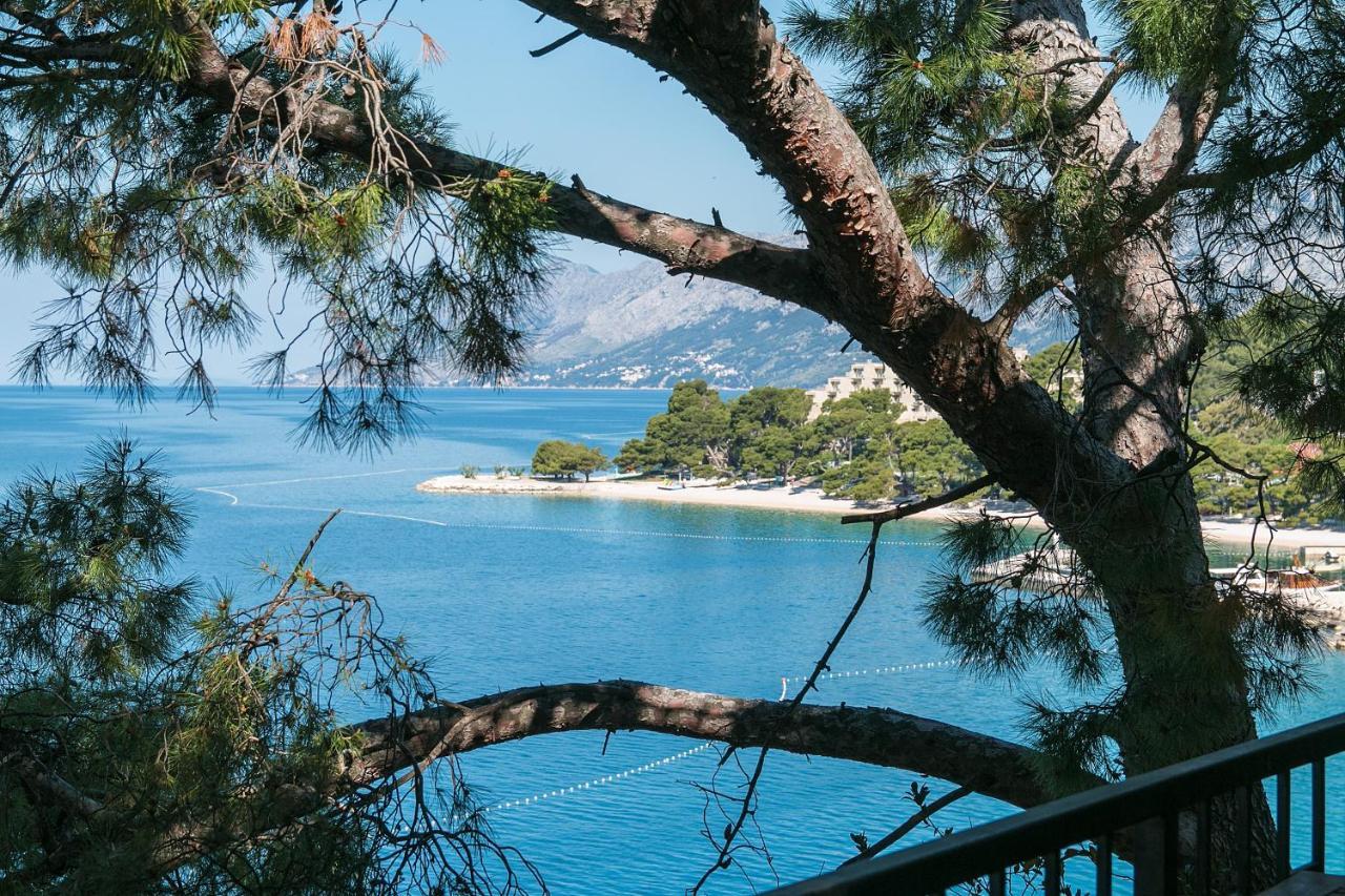 Apartments by the sea Brela, Makarska - 16950 Exteriör bild